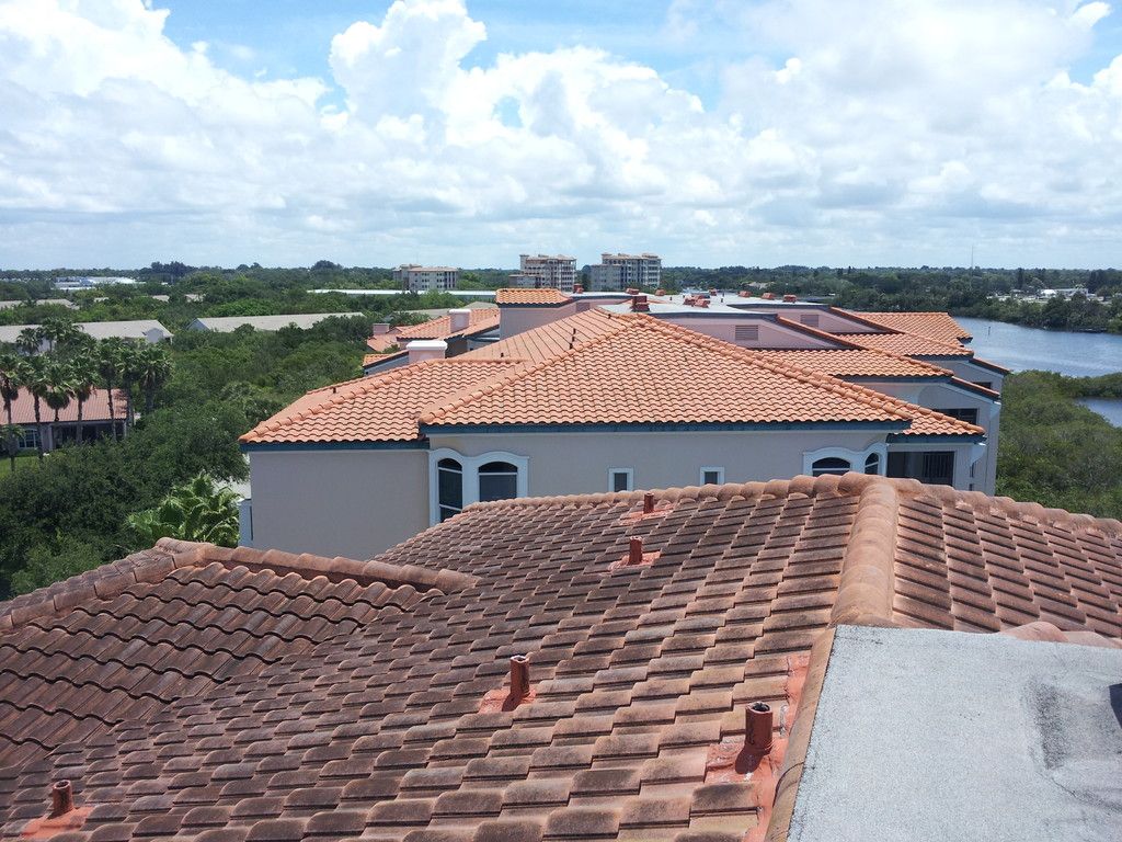 Rooftop view over a waterfront condominium complex. The barrel tile roof in the foreground is dark with algae and mildew; the terracotta roofs behind it have already been cleaned. A waterway is visible on the right.