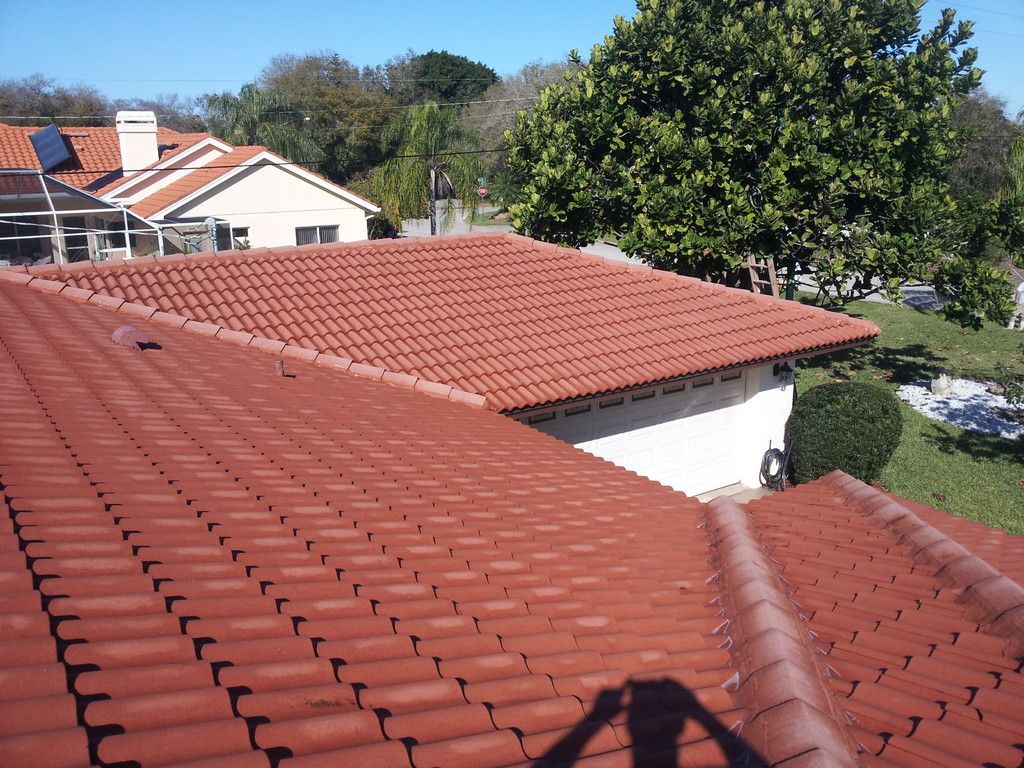 The same terracotta barrel tile roof after cleaning, bright and even, seen from the same spot with a neighbouring house and a large tree behind it.